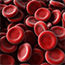 Эритроциты - клетки крови