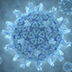 Ротавирус, вирус кишечного гриппа